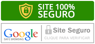 Site 100% Seguro Google